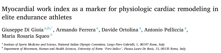 Myocardial work index as a marker for physiologic cardiac remodeling in elite endurance athletes